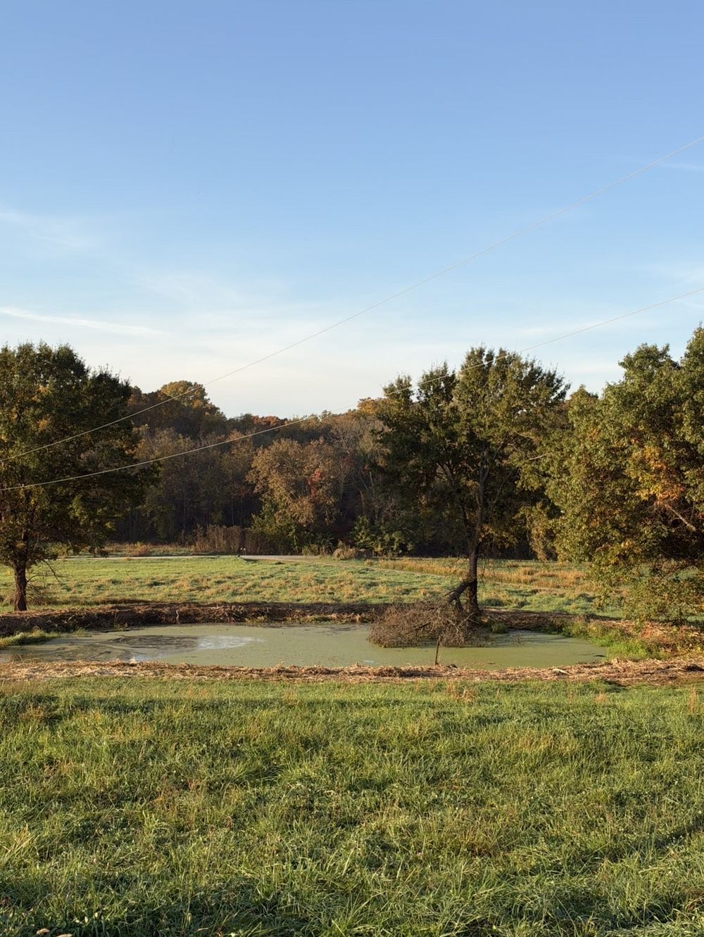 Brush and trees cleared around a farm pond