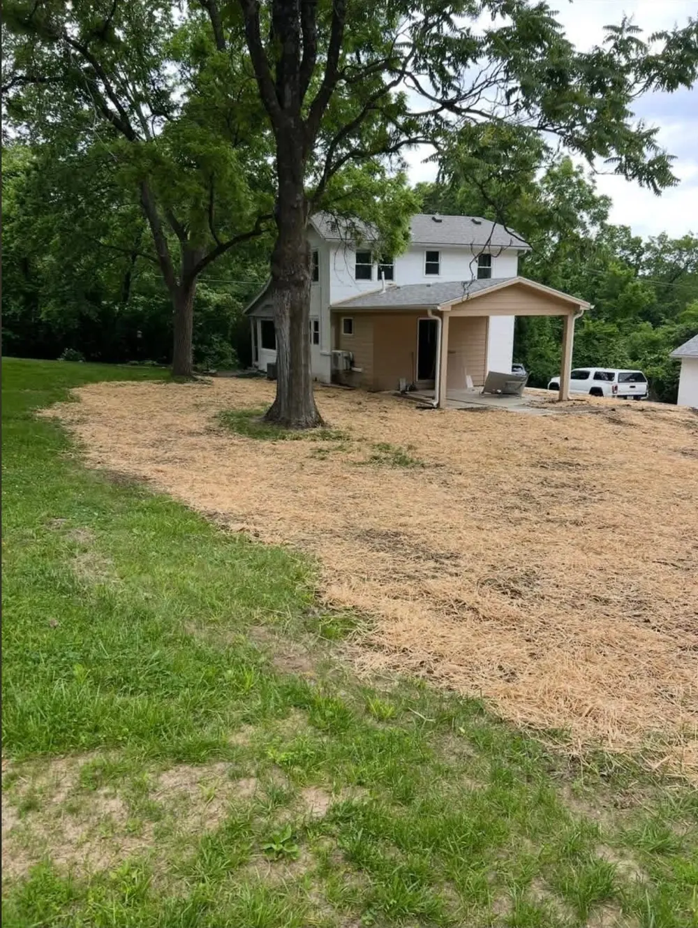 The same yard seeded and covered with straw