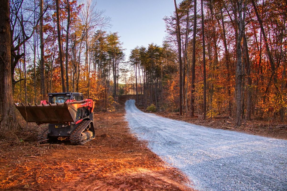 Compact track loader working in a wooded lot